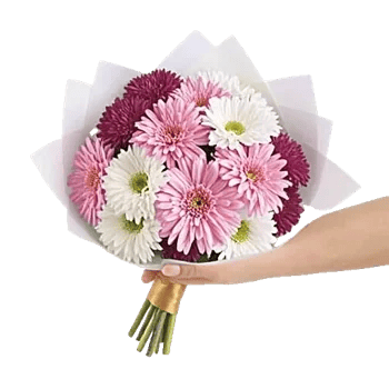 Petal Harmony Bliss