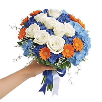 Serene Petal Harmony