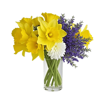 Radiant Bloom Cascade