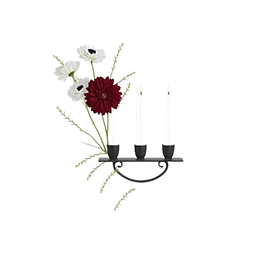 Elegant Calla Lilies