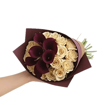 Elegant Calla Lilies