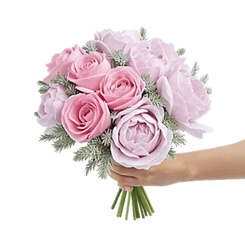 Pastel Pink Roses