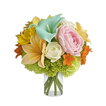 Elegant Calla Lilies