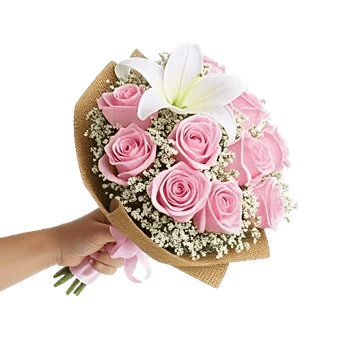 Blushing Rose Symphony