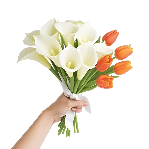 Elegant Calla Lilies