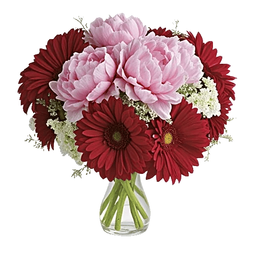 Petal Radiance Bliss