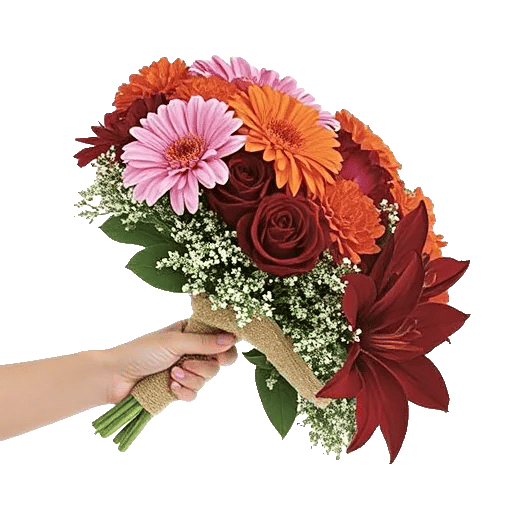 Blushing Rose Symphony