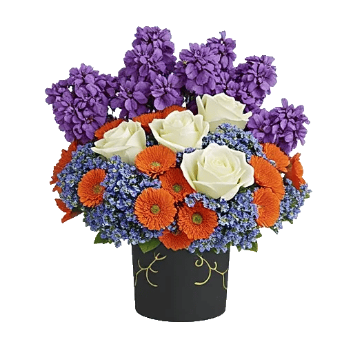 Petal Radiance Bliss