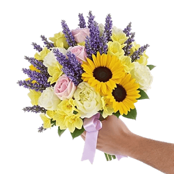 Lavender Bloom Grace