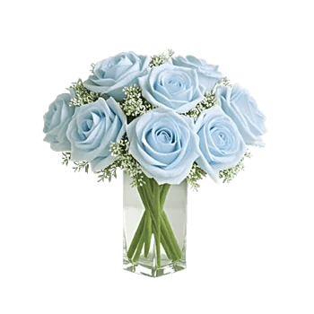 Elegant Blue Roses