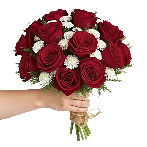 Crimson Rose Elegance