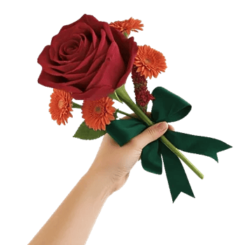 Crimson Rose Elegance