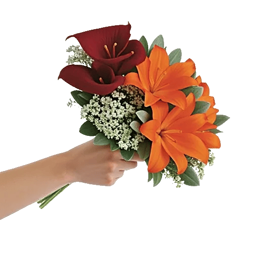 Elegant Calla Lilies