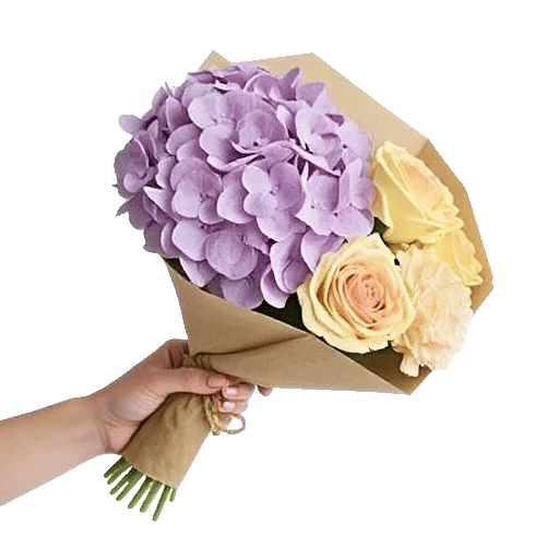 Serene Petal Harmony