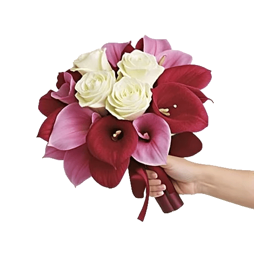 Elegant Calla Lilies