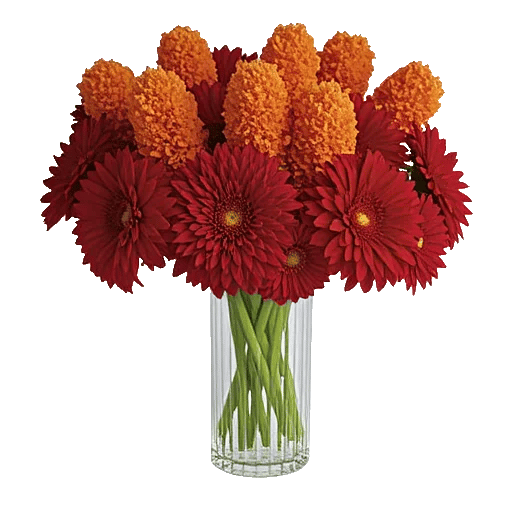 Crimson Blossom Harmony