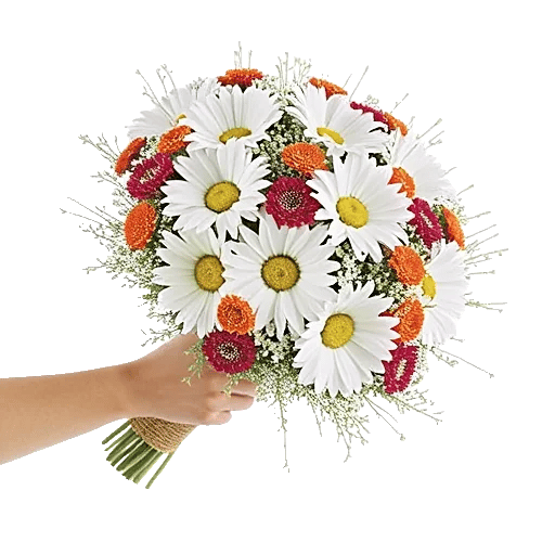 Daisy Meadow Spread