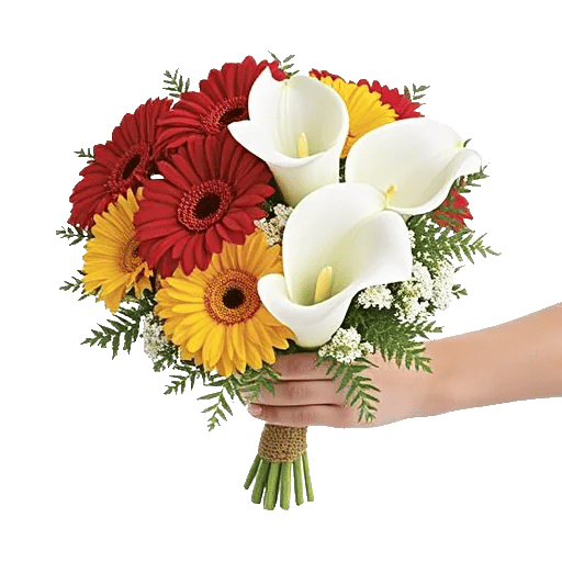 Petal Harmony Bliss