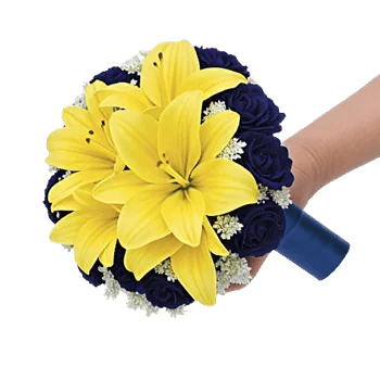 Blossom Harmony Display