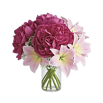 Peony Petal Harmony