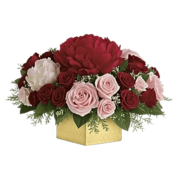 Petal Radiance Bliss