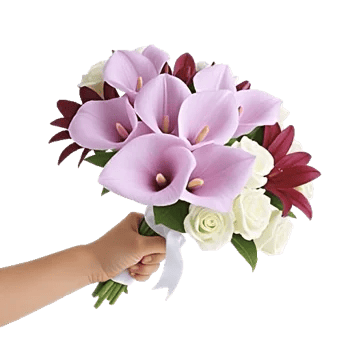 Elegant Calla Lilies