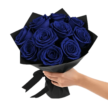 Elegant Blue Roses