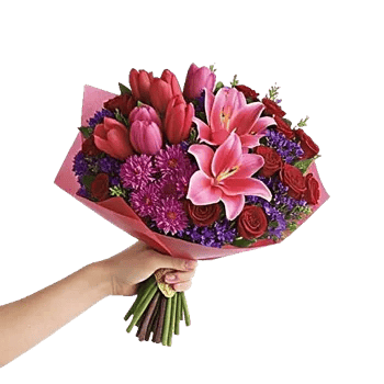 Crimson Rose Elegance