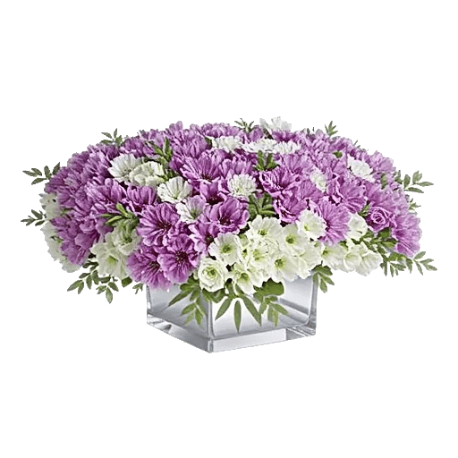 Graceful Lily Display