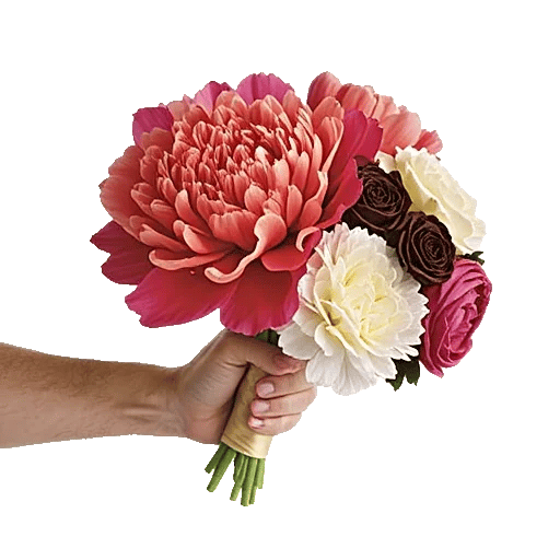 Peony Petal Harmony