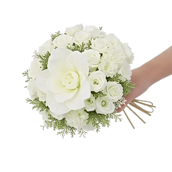 Elegant Calla Lilies