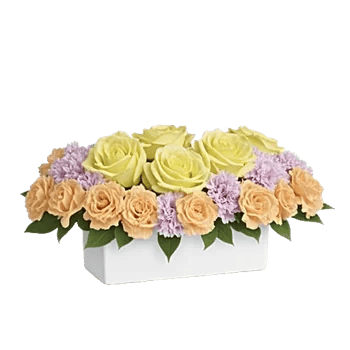 Delicate Petal Cascade