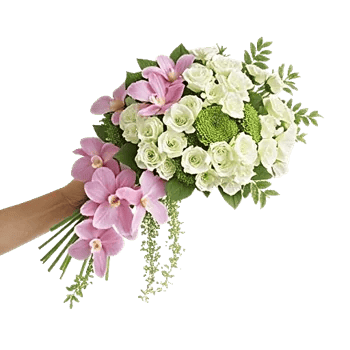 Orchid Bloom Cascade