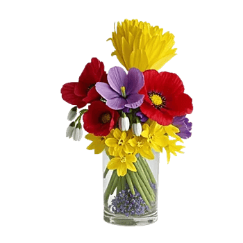 Petal Radiance Bliss