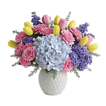 Serene Garden Harmony