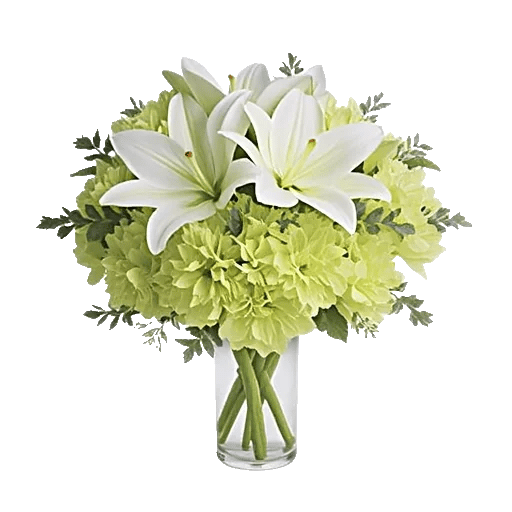 Ivory Blossom Radiance