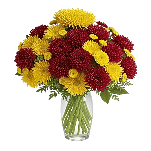 Elegant Calla Lilies