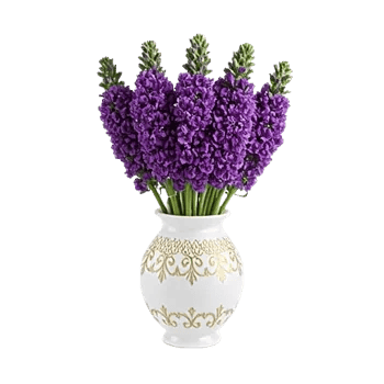 Ivory Blossom Radiance