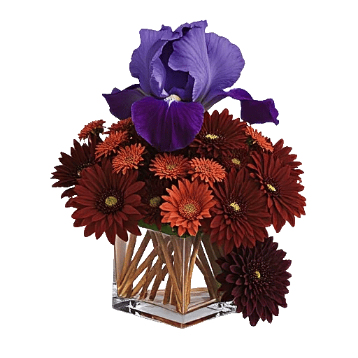 Ivory Blossom Radiance