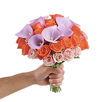 Elegant Calla Lilies