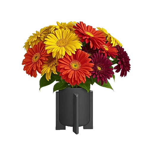 Petal Radiance Bliss