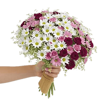 Blossom Petal Serenity