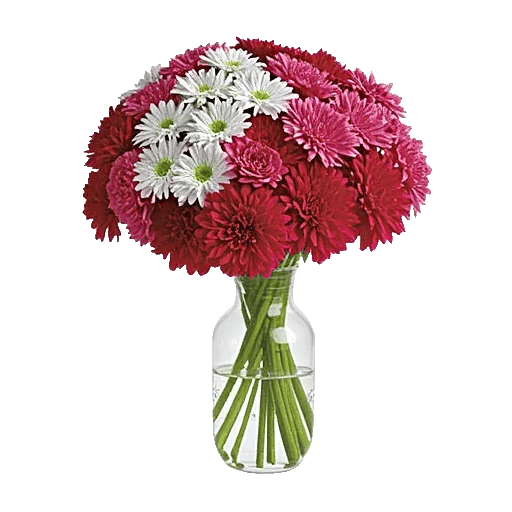 Delicate Petal Cascade