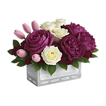 Velvet Tulip Display