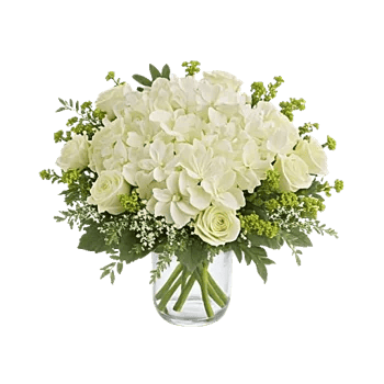 Serene Petal Harmony