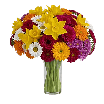 Petal Radiance Bliss