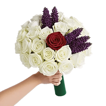 Delicate Petal Cascade