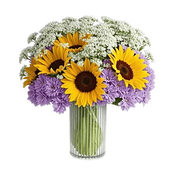 Ivory Blossom Radiance