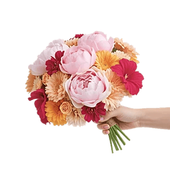 Peony Petal Harmony