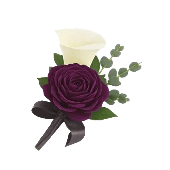 Elegant Calla Lilies